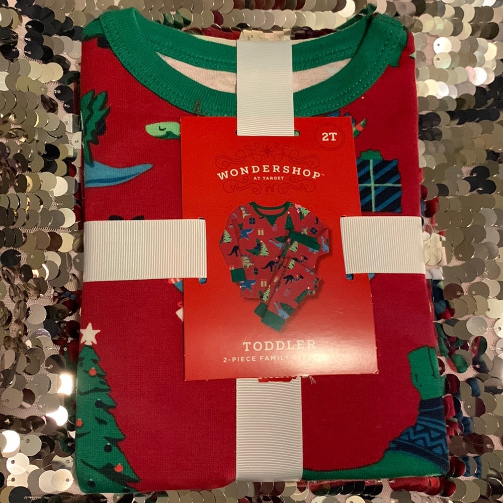 Holiday Family Dinosaur pajama set